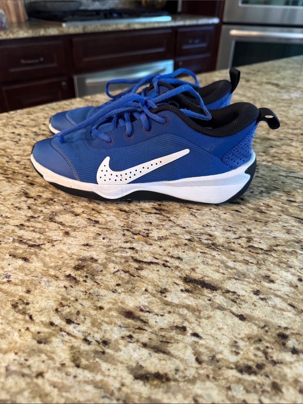 Nike Kids Blue and White Low-Top Sneakers